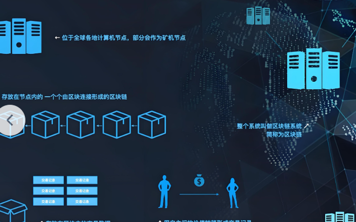 新手快速成长案例